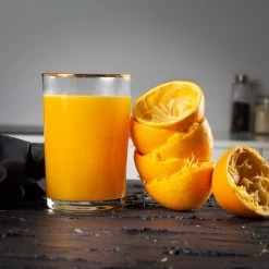 Princess Zitruspresse Master 201851 -Küche Geschäft Princess Zitruspresse Master 201851@@9ghjdqa1 19